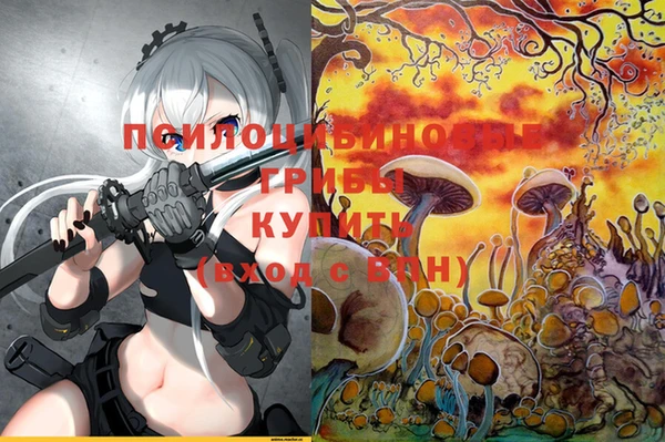 эйфоретик Баксан