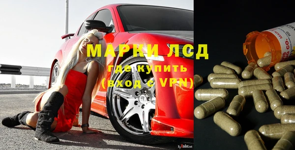 ГАЛЛЮЦИНОГЕННЫЕ ГРИБЫ Балахна