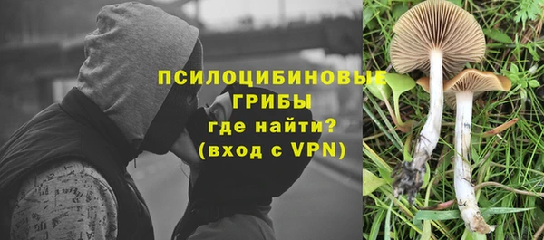 эйфоретик Баксан