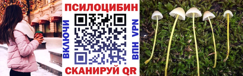 даркнет сайт  Магас  Галлюциногенные грибы мицелий 