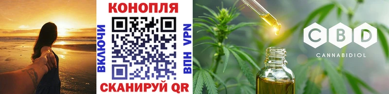 Бошки Шишки планчик  Магас 